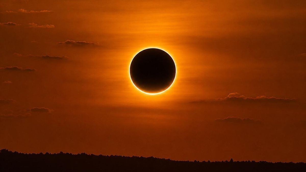 Cuando el sol se esconde, el sushi se convierte en el protagonista
